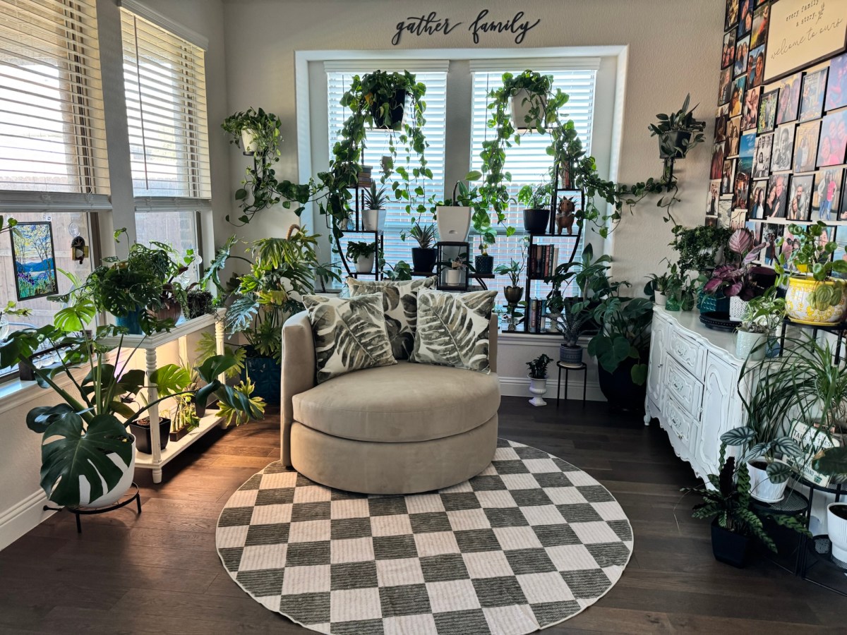 Plants, Anxiety, &&nbsp;Me